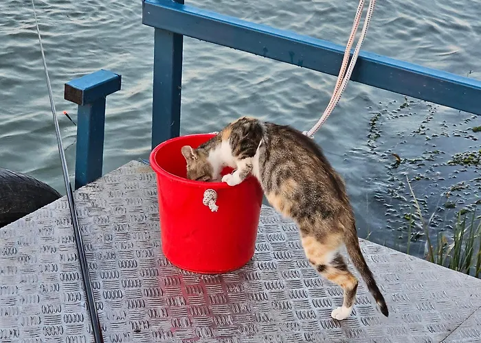 Casuta NoastraPensiune